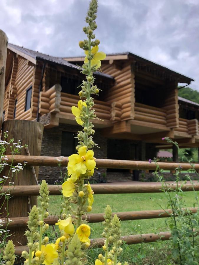 Casa Din Vale Hotel Sacuieu Luaran gambar