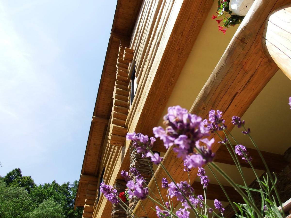 Casa Din Vale Hotel Sacuieu Luaran gambar