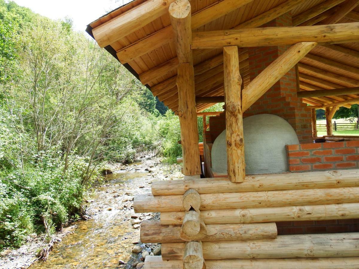 Casa Din Vale Hotel Sacuieu Luaran gambar