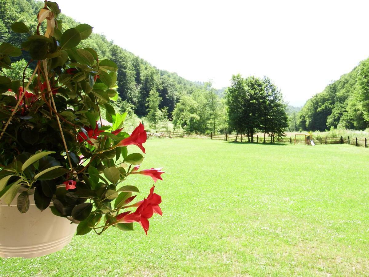 Casa Din Vale Hotel Sacuieu Luaran gambar